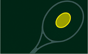 Racket head highlighting the sweet spot and damping zone.